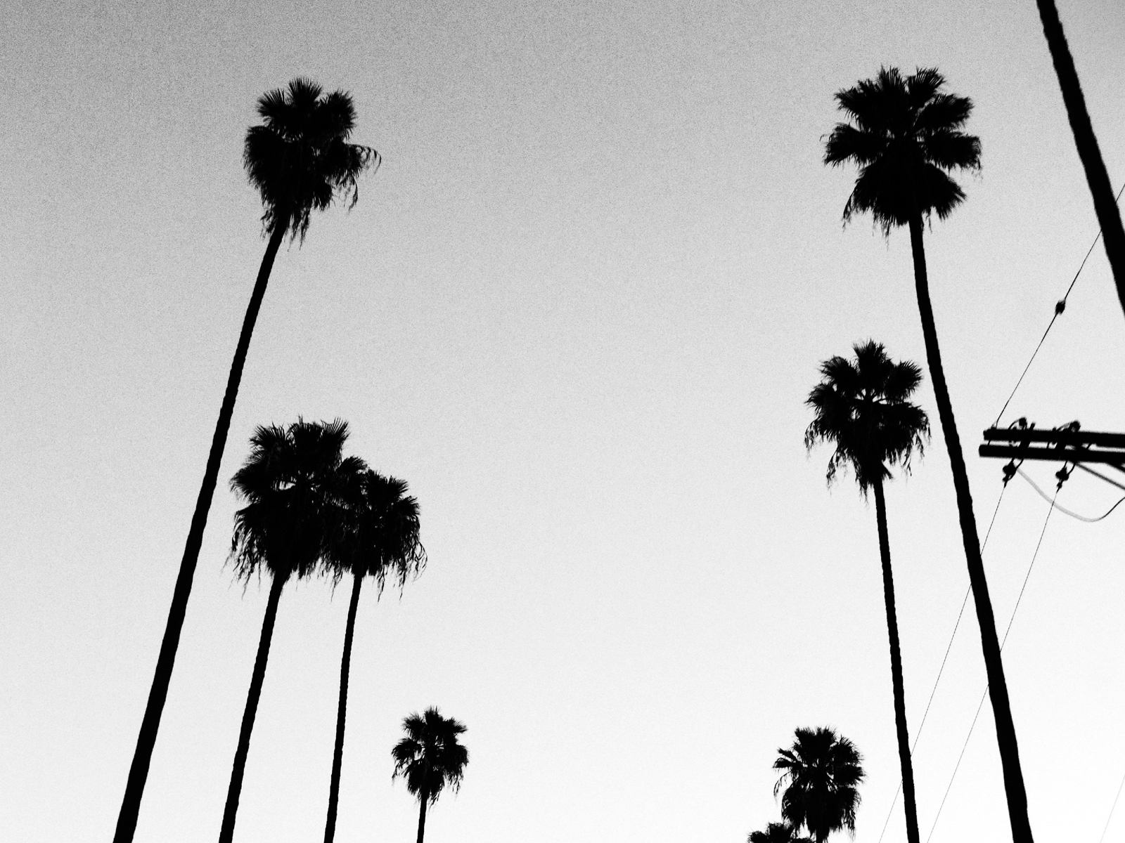 antique rivet art direction denim campaign Los Angeles